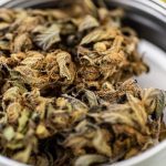 CBD snus