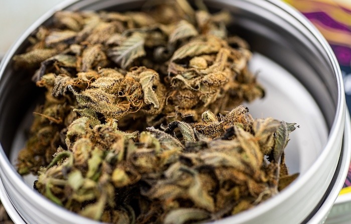 CBD snus