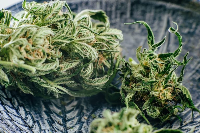 Försäljning av medicinsk cannabis ökar trots nya restriktioner