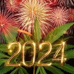 Hampa - En sammanfattning av 2024