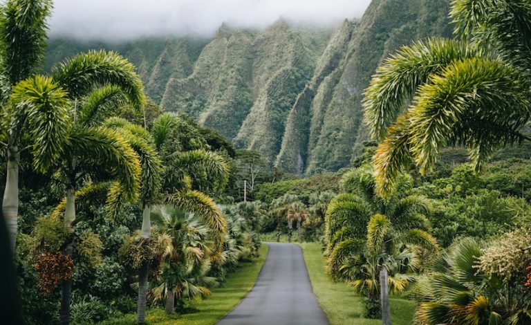 Hawaii medicinsk cannabis