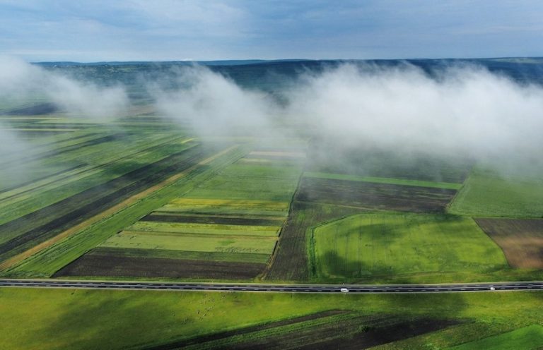 Moldaviens första hampafält på decennier