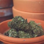 Avloppsvattnet avslöjar Europas cannabisvanor – ny rapport från EUDA