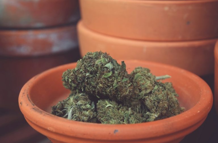 Avloppsvattnet avslöjar Europas cannabisvanor – ny rapport från EUDA