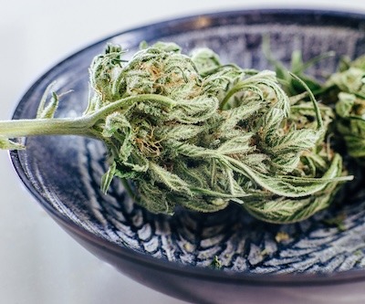 medicinsk cannabis-quiz01