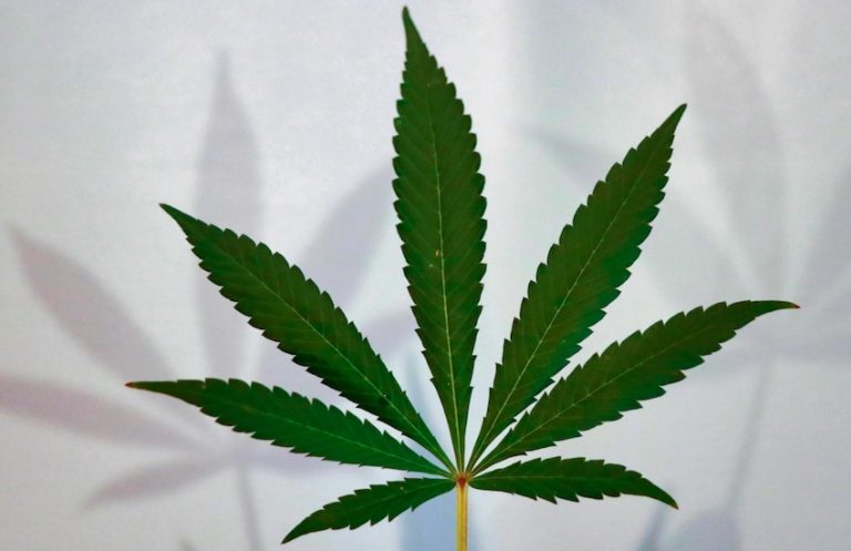 Google Ads och cannabisreklam