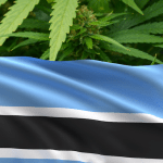 Botswanas flagga och hampablad i bakgrunden.