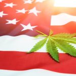 Amerikansk flagga med hampa
