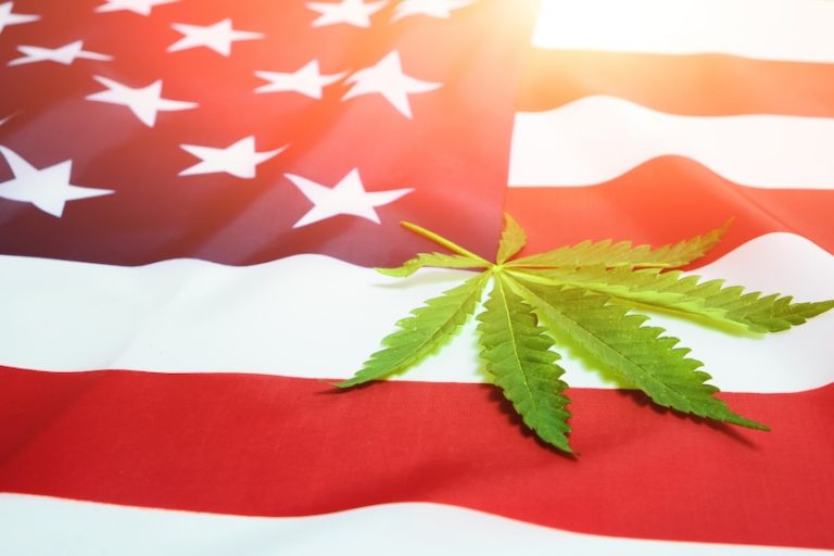 Amerikansk flagga med hampa