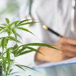 Forskare som granskar CBD