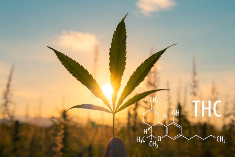 Hampablad med THC-formeln