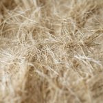Hampafiber närbild