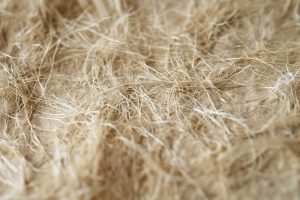 Hampafiber närbild