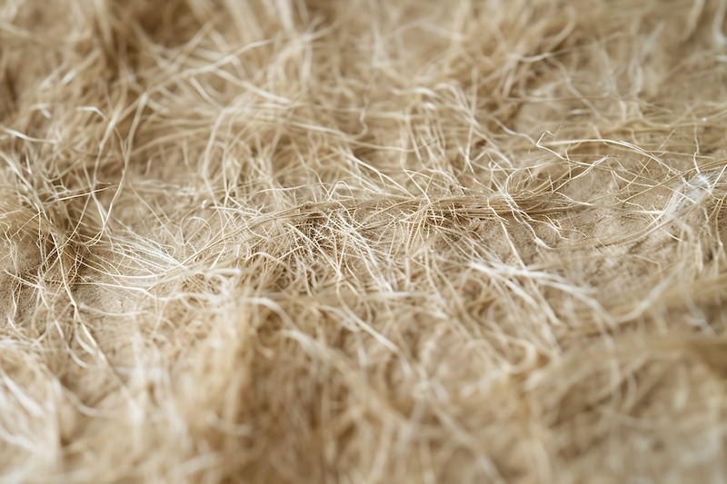 Hampafiber närbild