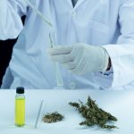 CBD medicin