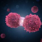Cancerceller som delar på sig