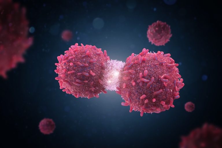 Cancerceller som delar på sig
