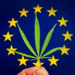 Hampablad och EU-flagga
